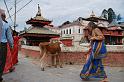 06. pashupatinath (17)